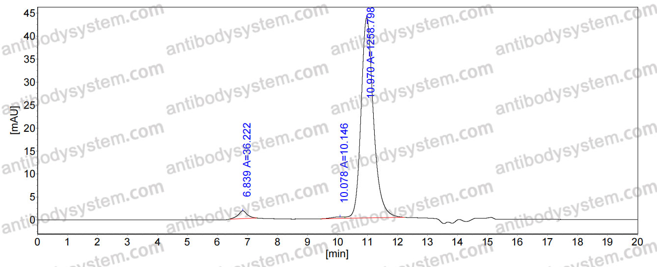 Anti-QKI-7 Antibody (N183/15)