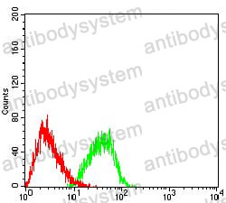 Anti-EHMT2 Antibody (R3Z16)