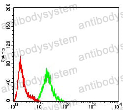 Anti-ARFGAP1 Antibody (R3Z23)