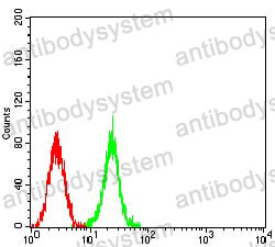 Anti-ASH2L Antibody (R3Z24)