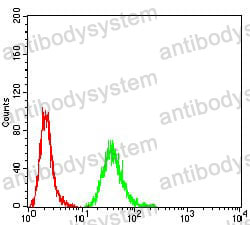 Anti-DDX20 Antibody (R3Z28)