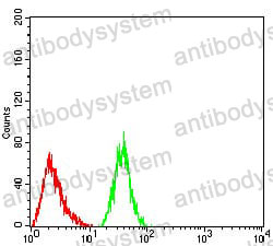 Anti-RAB1B Antibody (R3Z29)