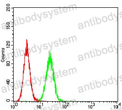 Anti-ASF1A Antibody (R3Z32)