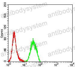 Anti-ULBP1 Antibody (R3Z36)
