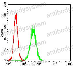 Anti-APBB1IP Antibody (R3Z39)