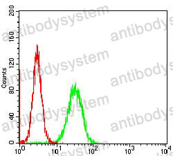 Anti-APBB1IP Antibody (R3Z40)