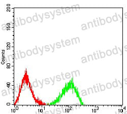 Anti-LRP12/ST7 Antibody (R3Z46)