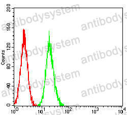 Anti-SALL4 Antibody (R3Z55)