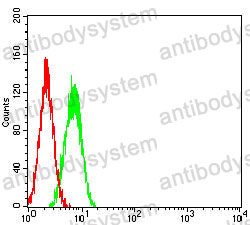 Anti-SALL4 Antibody (R3Z54)
