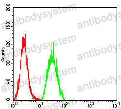 Anti-SALL4 Antibody (R3Z53)