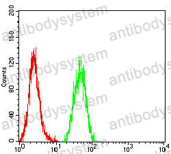 Anti-SALL4 Antibody (R3Z52)