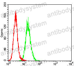 Anti-SALL4 Antibody (R3Z51)