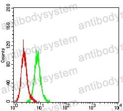 Anti-SALL4 Antibody (R3Z49)