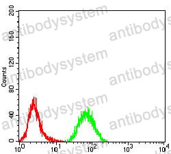 Anti-RAD18 Antibody (R3Z57)