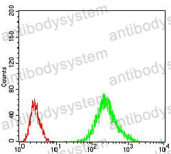 Anti-RANBP9 Antibody (R3Z60)