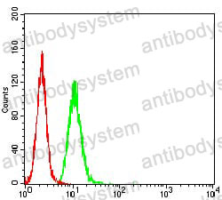 Anti-AFAP1L2 Antibody (R3Z62)