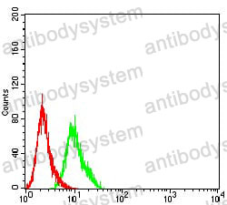 Anti-AFAP1L2 Antibody (R3Z63)