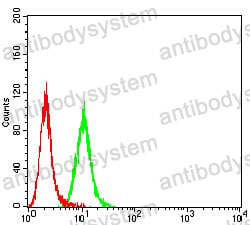 Anti-P2RY12 Antibody (R3Z64)
