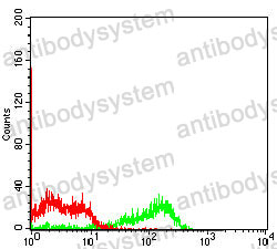 Anti-JAM3 Antibody (R3Z66)