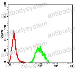 Anti-BTN2A2 Antibody (R3Z67)