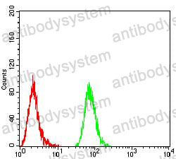 Anti-BTN2A2 Antibody (R3Z68)