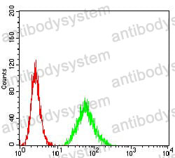 Anti-HLA-B Antibody (R3Z69)