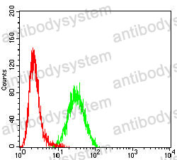 Anti-HLA-C Antibody (R3Z72)