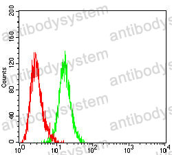Anti-HLA-F Antibody (R3Z73)