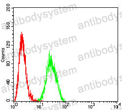 Anti-HLA-F Antibody (R3Z74)