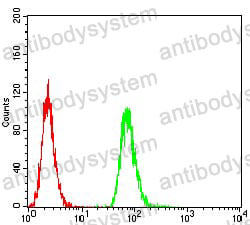 Anti-HLA-DRA Antibody (R3Z75)