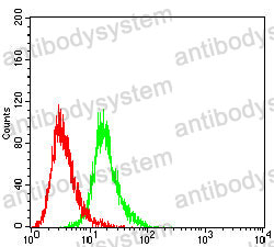 Anti-HLA-DRB1 Antibody (R3Z77)