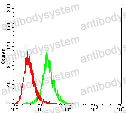 Anti-HLA-DRB1 Antibody (R3Z76)