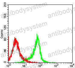 Anti-HLA-DPA1 Antibody (R3Z78)