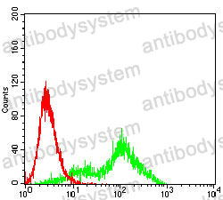 Anti-HLA-DPA1 Antibody (R3Z79)