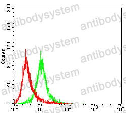 Anti-HLA-DPB1 Antibody (R3Z80)
