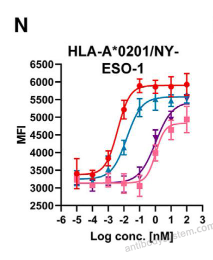 Anti-HLA-A2-peptide (SLLMWITQV) Complex (3M4E5)