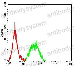 Anti-TSPAN33 Antibody (R3Z83)