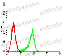 Anti-TSPAN33 Antibody (R3Z82)