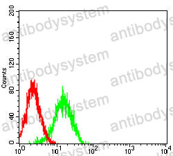 Anti-C9orf72 Antibody (R3Z86)