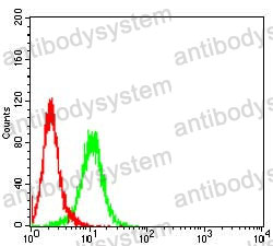 Anti-C9orf72 Antibody (R3Z85)