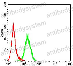 Anti-MAP3K14 Antibody (R2T16)