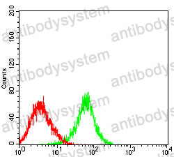 Anti-MUC13 Antibody (R3Z89)