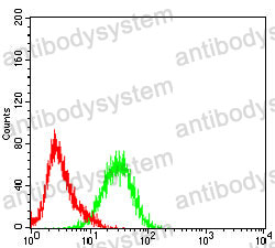 Anti-MUC13 Antibody (R3Z88)