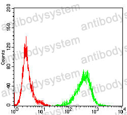 Anti-MR1 Antibody (R3Z92)