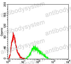 Anti-SH3GL1 Antibody (R3Z93)