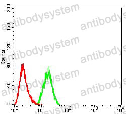 Anti-DNMT3L Antibody (R3Z99)