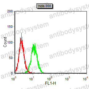 Anti-AHNAK2 Antibody (R4A01)