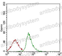 Anti-SYCP3 Antibody (R4A02)