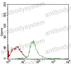 Anti-SYCP3 Antibody (R4A03)