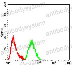 Anti-PIK3R4 Antibody (R4A05)